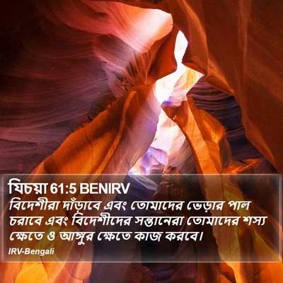 যিচয়া 61:5 BENIRV Bible Verse Image