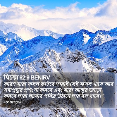 যিচয়া 62:9 BENIRV Bible Verse Image