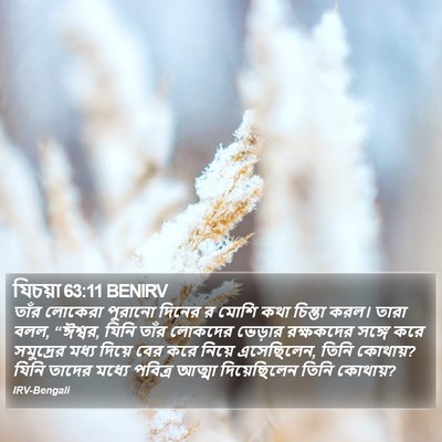 যিচয়া 63:11 BENIRV Bible Verse Image