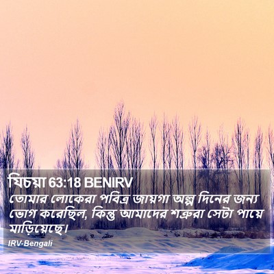যিচয়া 63:18 BENIRV Bible Verse Image