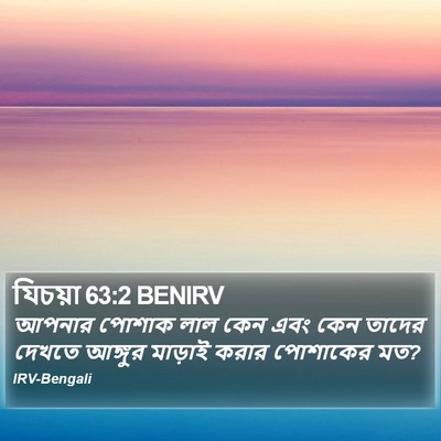 যিচয়া 63:2 BENIRV Bible Verse Image