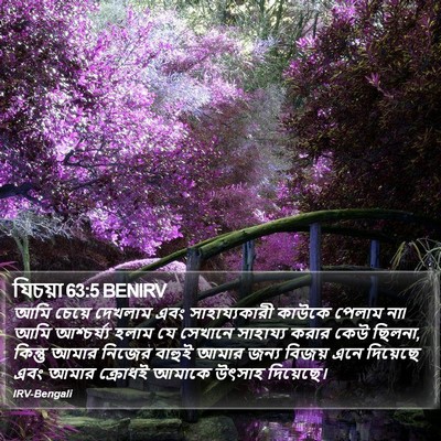 যিচয়া 63:5 BENIRV Bible Verse Image