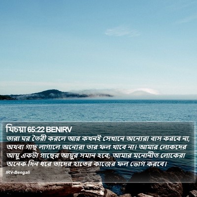 যিচয়া 65:22 BENIRV Bible Verse Image