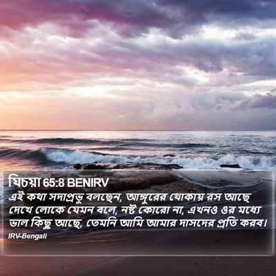 যিচয়া 65:8 BENIRV Bible Verse Image