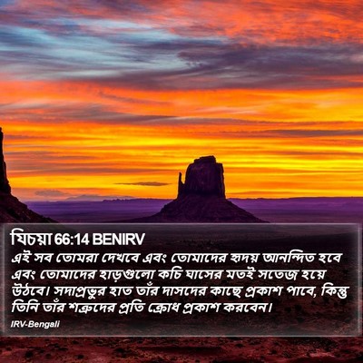 যিচয়া 66:14 BENIRV Bible Verse Image