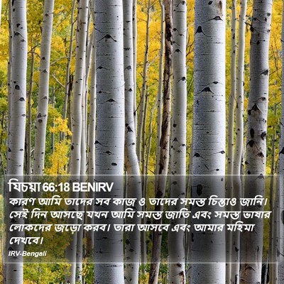 যিচয়া 66:18 BENIRV Bible Verse Image