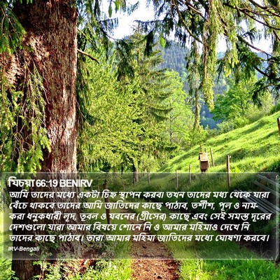 যিচয়া 66:19 BENIRV Bible Verse Image