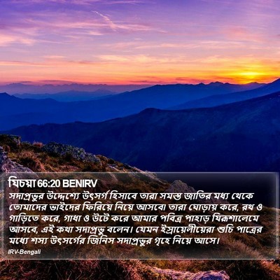 যিচয়া 66:20 BENIRV Bible Verse Image