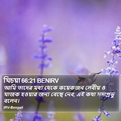 যিচয়া 66:21 BENIRV Bible Verse Image
