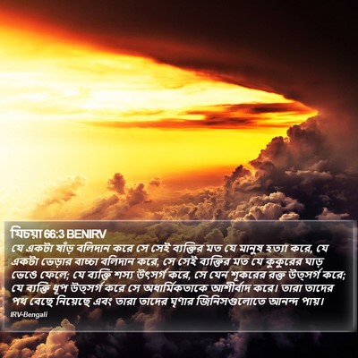 যিচয়া 66:3 BENIRV Bible Verse Image