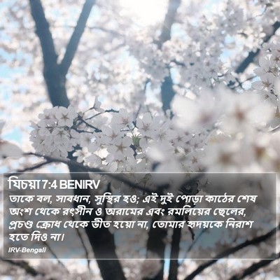 যিচয়া 7:4 BENIRV Bible Verse Image
