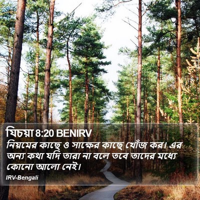 যিচয়া 8:20 BENIRV Bible Verse Image