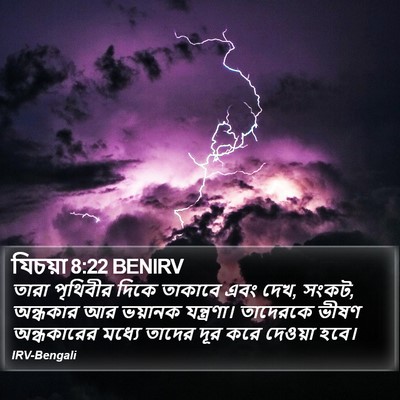 যিচয়া 8:22 BENIRV Bible Verse Image