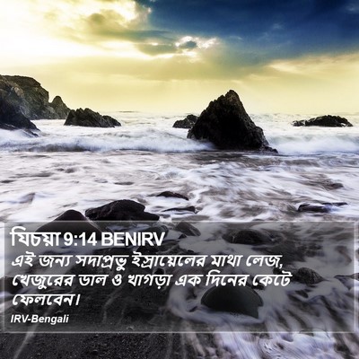 যিচয়া 9:14 BENIRV Bible Verse Image