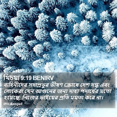 যিচয়া 9:19 BENIRV Bible Verse Image