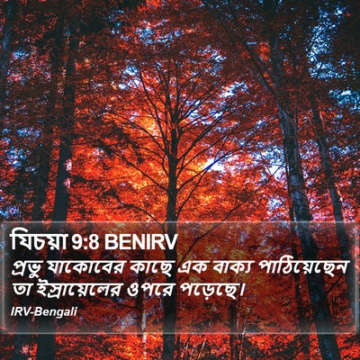 যিচয়া 9:8 BENIRV Bible Verse Image