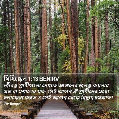 যিহিষ্কেল 1:13 BENIRV Bible Verse Image