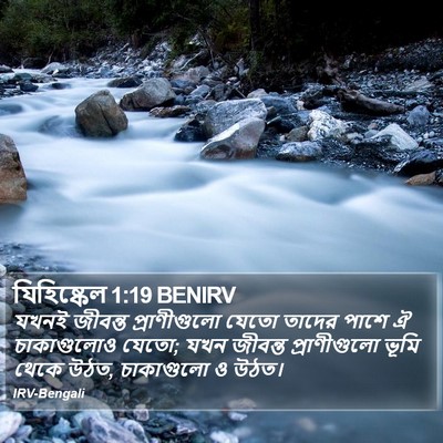 যিহিষ্কেল 1:19 BENIRV Bible Verse Image