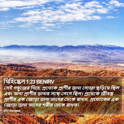 যিহিষ্কেল 1:23 BENIRV Bible Verse Image