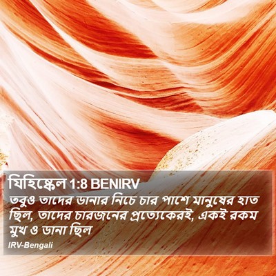 যিহিষ্কেল 1:8 BENIRV Bible Verse Image