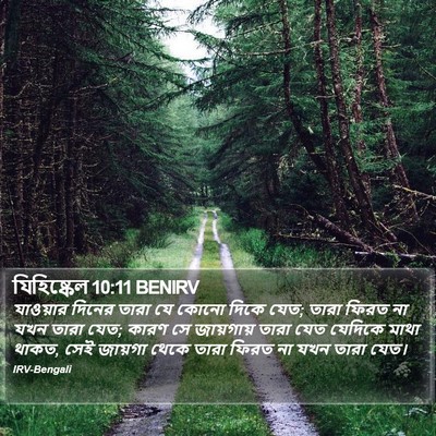 যিহিষ্কেল 10:11 BENIRV Bible Verse Image
