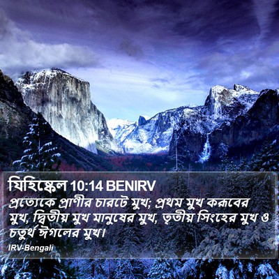 যিহিষ্কেল 10:14 BENIRV Bible Verse Image