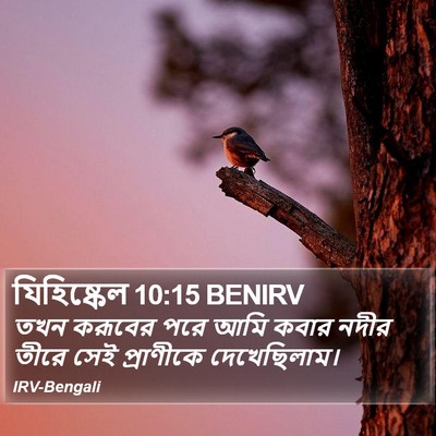 যিহিষ্কেল 10:15 BENIRV Bible Verse Image