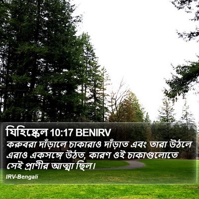 যিহিষ্কেল 10:17 BENIRV Bible Verse Image