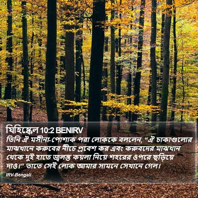 যিহিষ্কেল 10:2 BENIRV Bible Verse Image