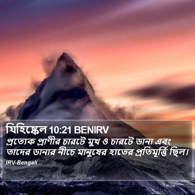 যিহিষ্কেল 10:21 BENIRV Bible Verse Image