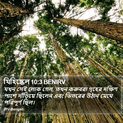 যিহিষ্কেল 10:3 BENIRV Bible Verse Image