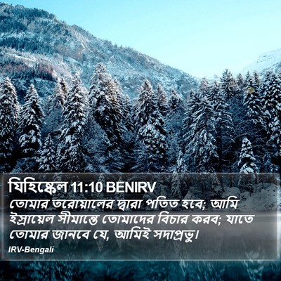 যিহিষ্কেল 11:10 BENIRV Bible Verse Image