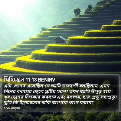 যিহিষ্কেল 11:13 BENIRV Bible Verse Image