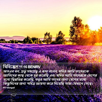 যিহিষ্কেল 11:16 BENIRV Bible Verse Image