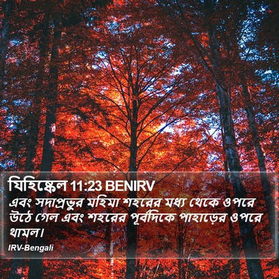 যিহিষ্কেল 11:23 BENIRV Bible Verse Image
