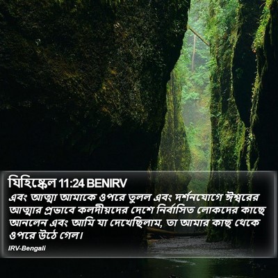 যিহিষ্কেল 11:24 BENIRV Bible Verse Image