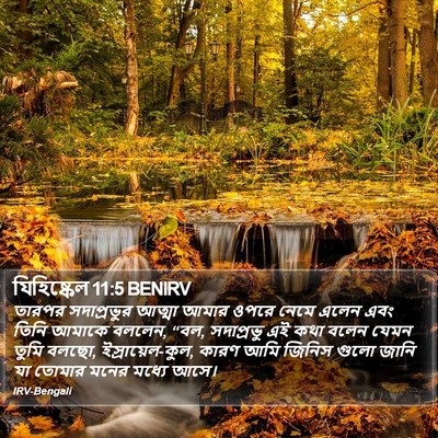 যিহিষ্কেল 11:5 BENIRV Bible Verse Image