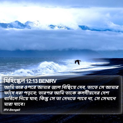 যিহিষ্কেল 12:13 BENIRV Bible Verse Image