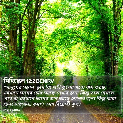 যিহিষ্কেল 12:2 BENIRV Bible Verse Image