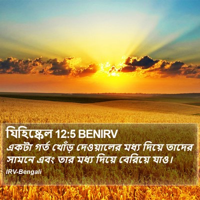 যিহিষ্কেল 12:5 BENIRV Bible Verse Image