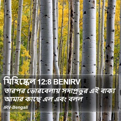 যিহিষ্কেল 12:8 BENIRV Bible Verse Image
