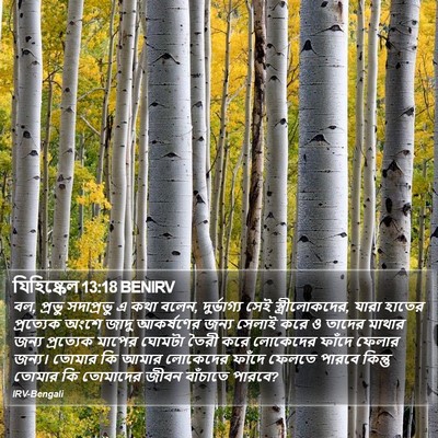 যিহিষ্কেল 13:18 BENIRV Bible Verse Image
