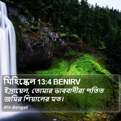 যিহিষ্কেল 13:4 BENIRV Bible Verse Image