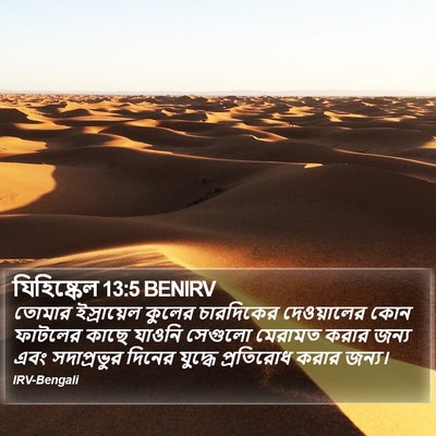 যিহিষ্কেল 13:5 BENIRV Bible Verse Image