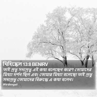 যিহিষ্কেল 13:8 BENIRV Bible Verse Image