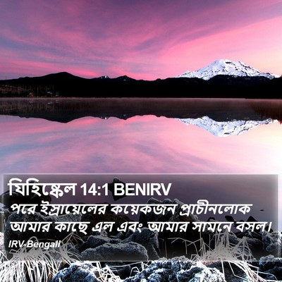 যিহিষ্কেল 14:1 BENIRV Bible Verse Image