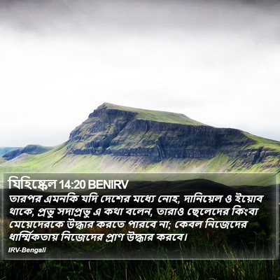 যিহিষ্কেল 14:20 BENIRV Bible Verse Image
