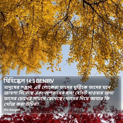 যিহিষ্কেল 14:3 BENIRV Bible Verse Image