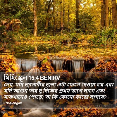 যিহিষ্কেল 15:4 BENIRV Bible Verse Image