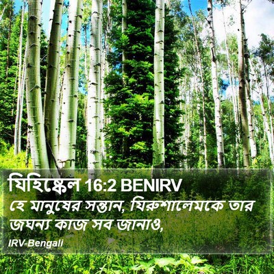 যিহিষ্কেল 16:2 BENIRV Bible Verse Image